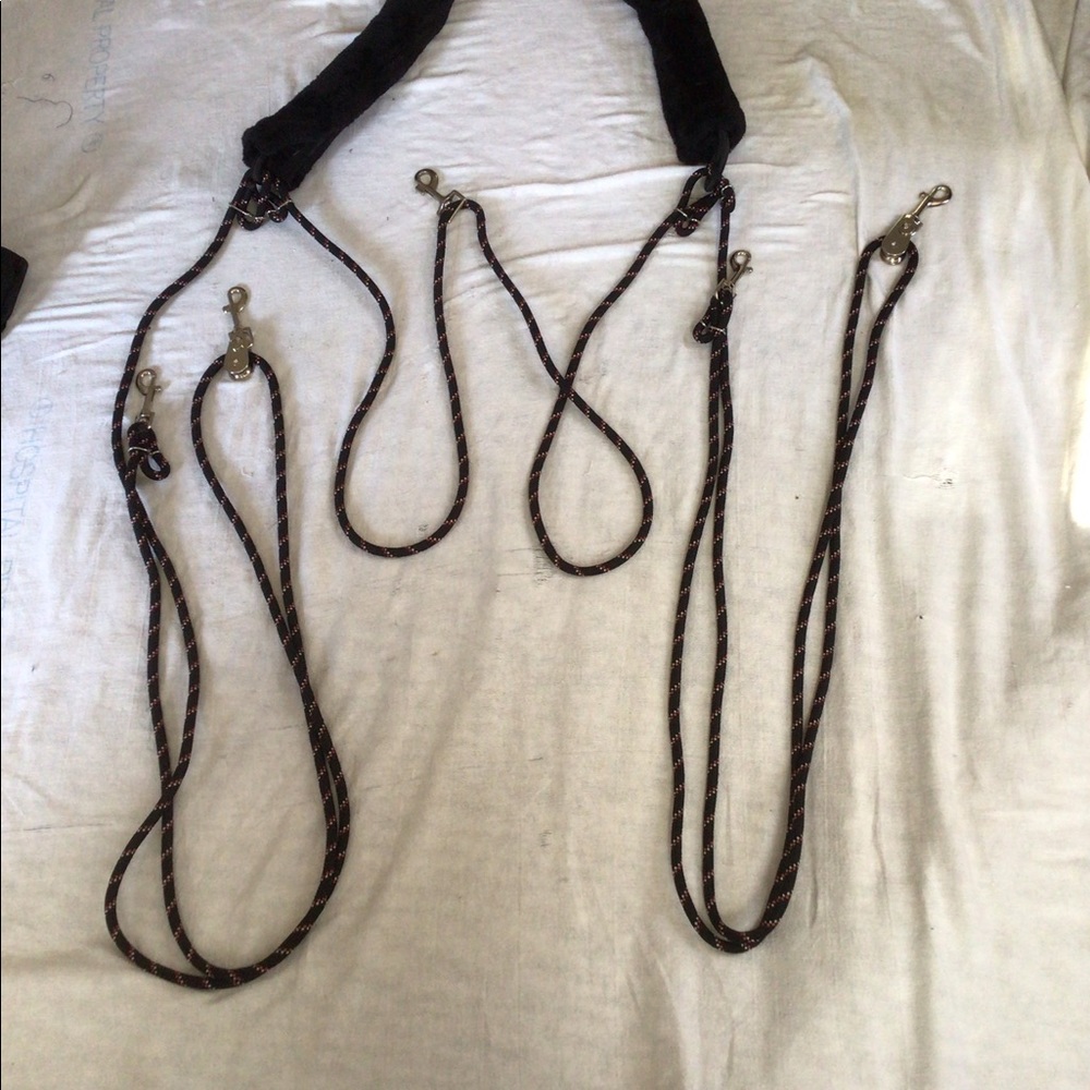 Waldausen Lunging System